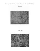 BIOCERAMIC COATED APPARATUS AND METHOD OF FORMING THE SAME diagram and image