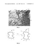 BIOGENIC TEMPLATE FOR ENHANCED SORPTION OF CONTAMINANTS diagram and image