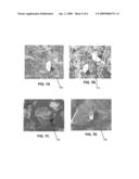 BIOGENIC TEMPLATE FOR ENHANCED SORPTION OF CONTAMINANTS diagram and image