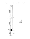 Method and system for unequal error protection with block codes for wireless transmission diagram and image