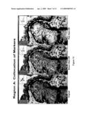 Image Quality for Diagnostic Resolution Digital Slide Images diagram and image