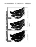 Image Quality for Diagnostic Resolution Digital Slide Images diagram and image