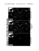 Image Quality for Diagnostic Resolution Digital Slide Images diagram and image