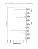 IL-17 homologous polypeptides and therapeutic uses thereof diagram and image