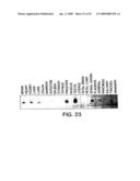 IL-17 homologous polypeptides and therapeutic uses thereof diagram and image