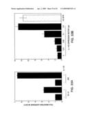 IL-17 homologous polypeptides and therapeutic uses thereof diagram and image