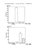 IL-17 homologous polypeptides and therapeutic uses thereof diagram and image