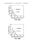 IL-17 homologous polypeptides and therapeutic uses thereof diagram and image