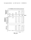 IL-17 homologous polypeptides and therapeutic uses thereof diagram and image