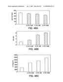 IL-17 homologous polypeptides and therapeutic uses thereof diagram and image