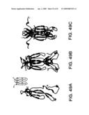 IL-17 homologous polypeptides and therapeutic uses thereof diagram and image