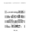 IL-17 homologous polypeptides and therapeutic uses thereof diagram and image