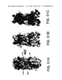 IL-17 homologous polypeptides and therapeutic uses thereof diagram and image