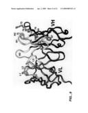 TREATING PROSTATE CANCER WITH ANTI-ErbB2 ANTIBODIES diagram and image