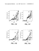 TREATING PROSTATE CANCER WITH ANTI-ErbB2 ANTIBODIES diagram and image