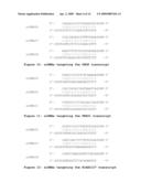 COMPOSITIONS AND METHODS FOR TREATING DISEASES diagram and image