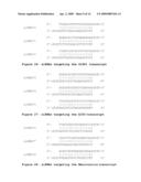 COMPOSITIONS AND METHODS FOR TREATING DISEASES diagram and image