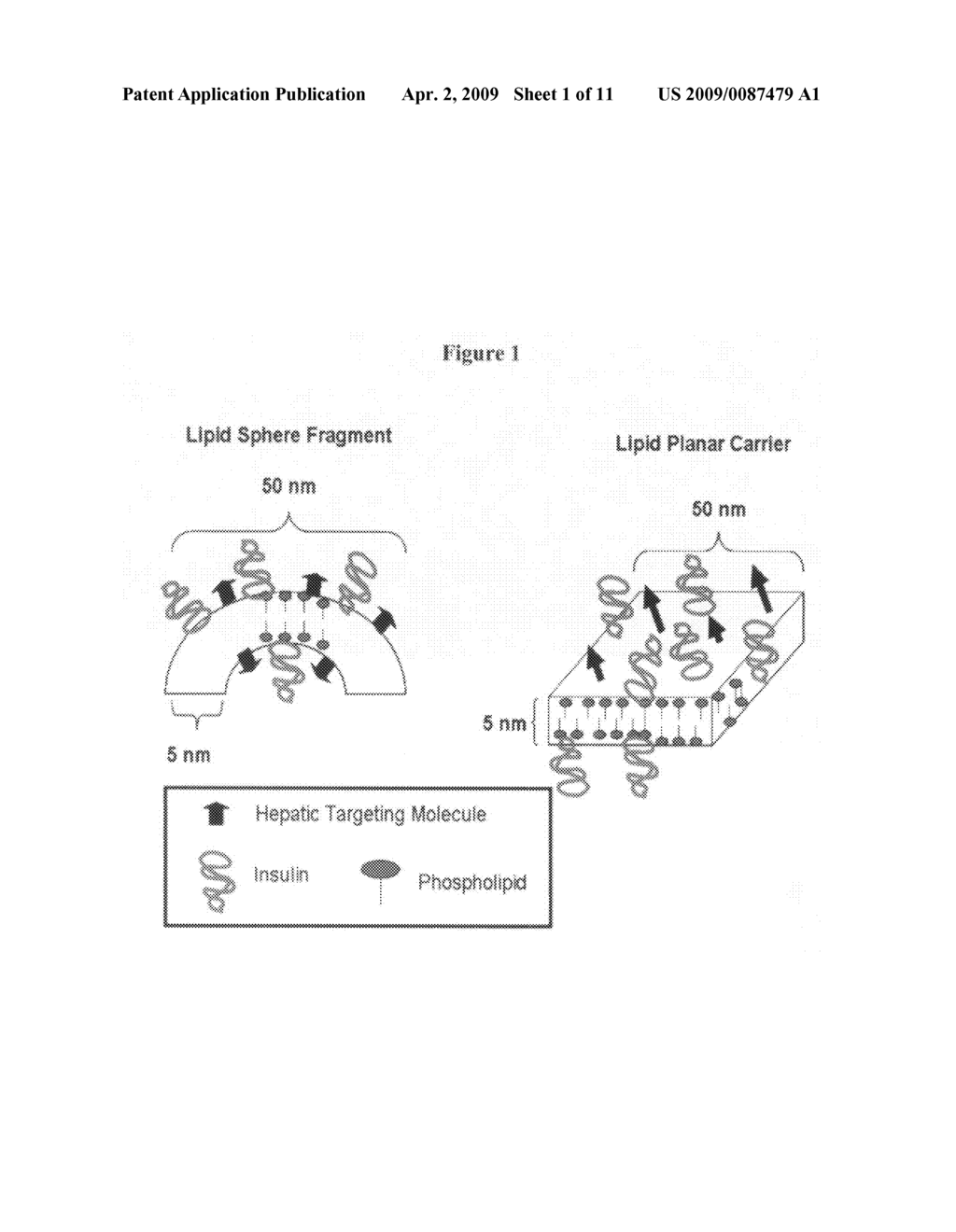 Orally bioavailable lipid-based constructs - diagram, schematic, and image 02