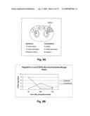 METHODS OF TREATING NEUROLOGICAL CONDITIONS WITH HEMATOPOEITIC GROWTH FACTORS diagram and image
