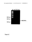 METHODS OF TREATING NEUROLOGICAL CONDITIONS WITH HEMATOPOEITIC GROWTH FACTORS diagram and image