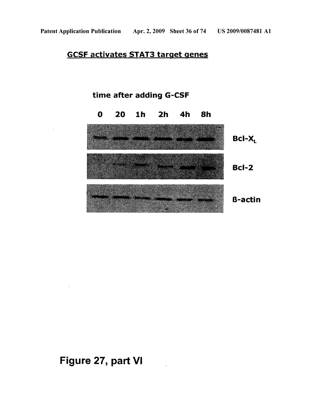 METHODS OF TREATING NEUROLOGICAL CONDITIONS WITH HEMATOPOEITIC GROWTH FACTORS - diagram, schematic, and image 37