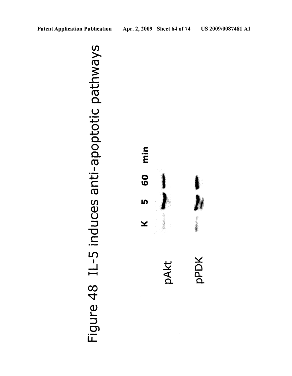 METHODS OF TREATING NEUROLOGICAL CONDITIONS WITH HEMATOPOEITIC GROWTH FACTORS - diagram, schematic, and image 65