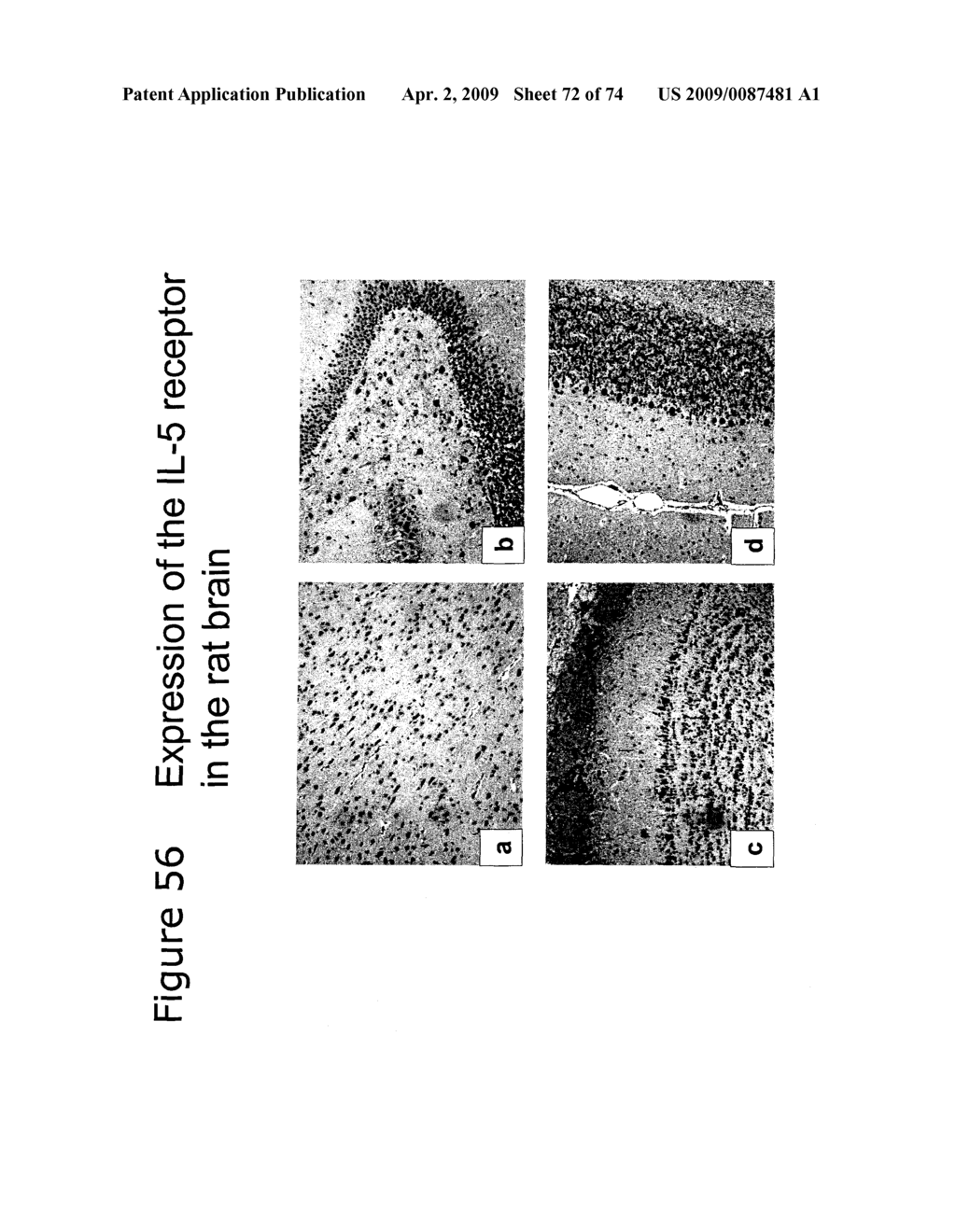 METHODS OF TREATING NEUROLOGICAL CONDITIONS WITH HEMATOPOEITIC GROWTH FACTORS - diagram, schematic, and image 73