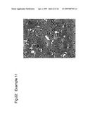 Processes and Apparatuses for the Production of Crystalline Organic Microparticle Compositions by Micro-Milling and Crystallization on Micro-Seed and Their Use diagram and image