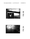 METHOD OF FABRICATING ONE-DIMENSIONAL METALLIC NANOSTRUCTURE diagram and image