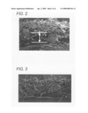 Absorbent sheet diagram and image