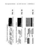 Directed assembly of triblock copolymers diagram and image