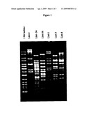 METHODS FOR EVALUATING A BACTERIOPHAGE PREPARATION diagram and image