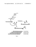 Method for characterising polynucleotides diagram and image