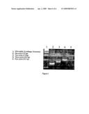 Method for characterising polynucleotides diagram and image