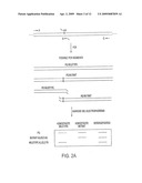 LONG DISTANCE POLYMERASE CHAIN REACTION-BASED ASSAY FOR DETECTING CHROMOSOMAL REARRANGEMENTS diagram and image