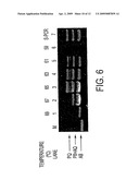 LONG DISTANCE POLYMERASE CHAIN REACTION-BASED ASSAY FOR DETECTING CHROMOSOMAL REARRANGEMENTS diagram and image