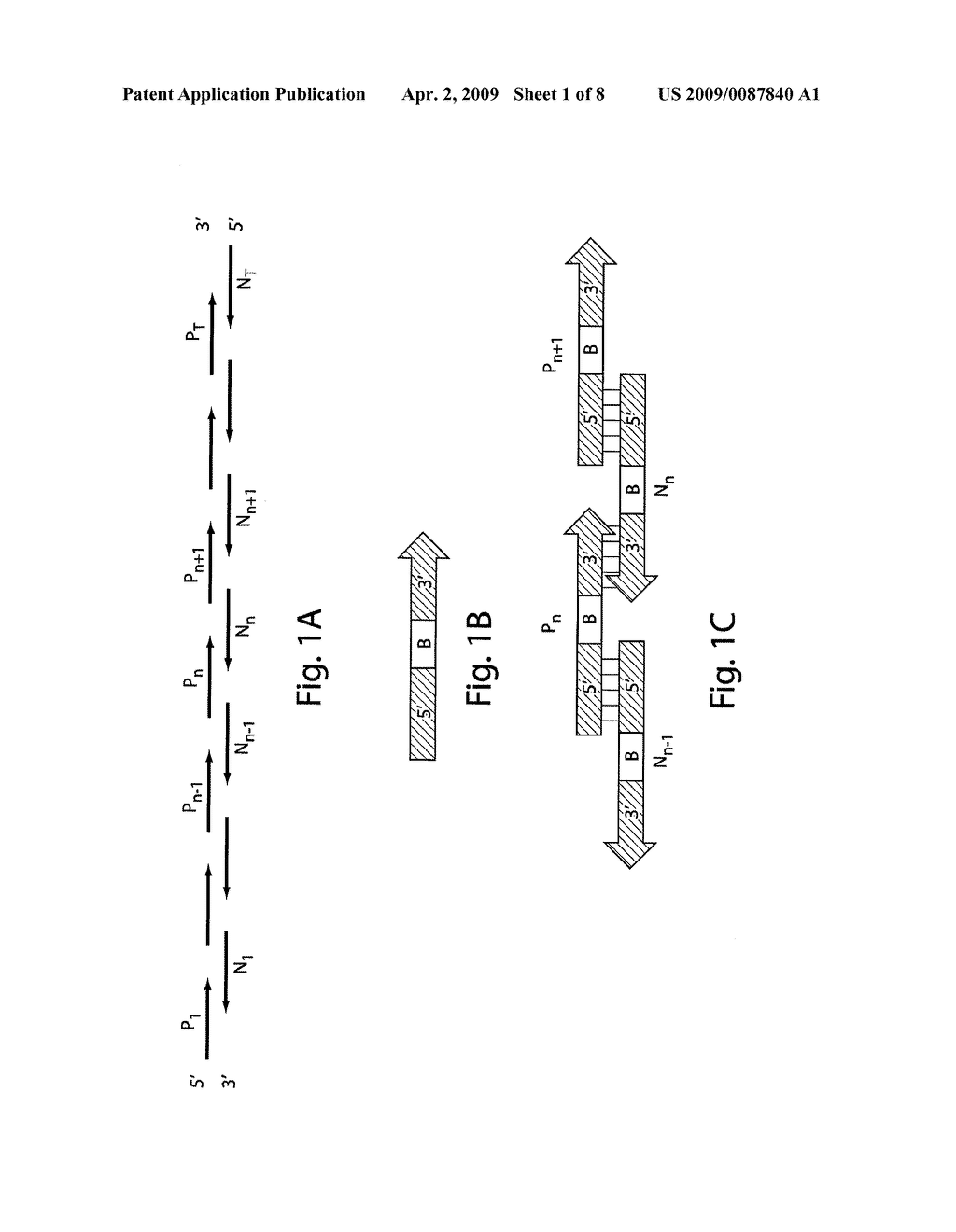 Combined extension and ligation for nucleic acid assembly - diagram, schematic, and image 02