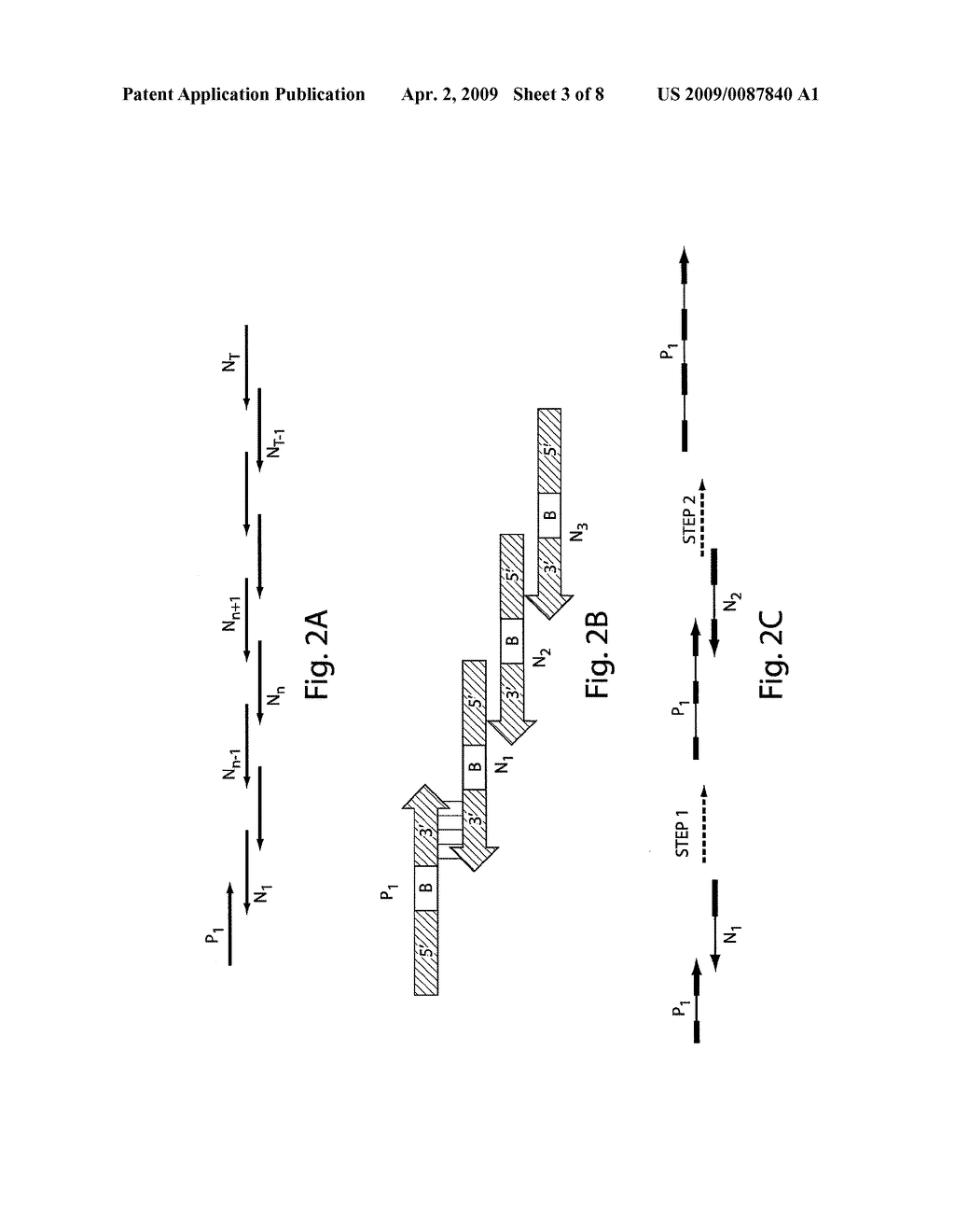 Combined extension and ligation for nucleic acid assembly - diagram, schematic, and image 04