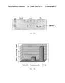 Neural Proteins as Biomarkers for Nervous System Injury and Other Neural Disorders diagram and image