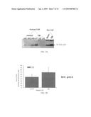 Neural Proteins as Biomarkers for Nervous System Injury and Other Neural Disorders diagram and image