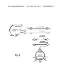 Novel expression vector with enhanced gene expression capacity and method for using the same diagram and image