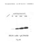 Novel expression vector with enhanced gene expression capacity and method for using the same diagram and image