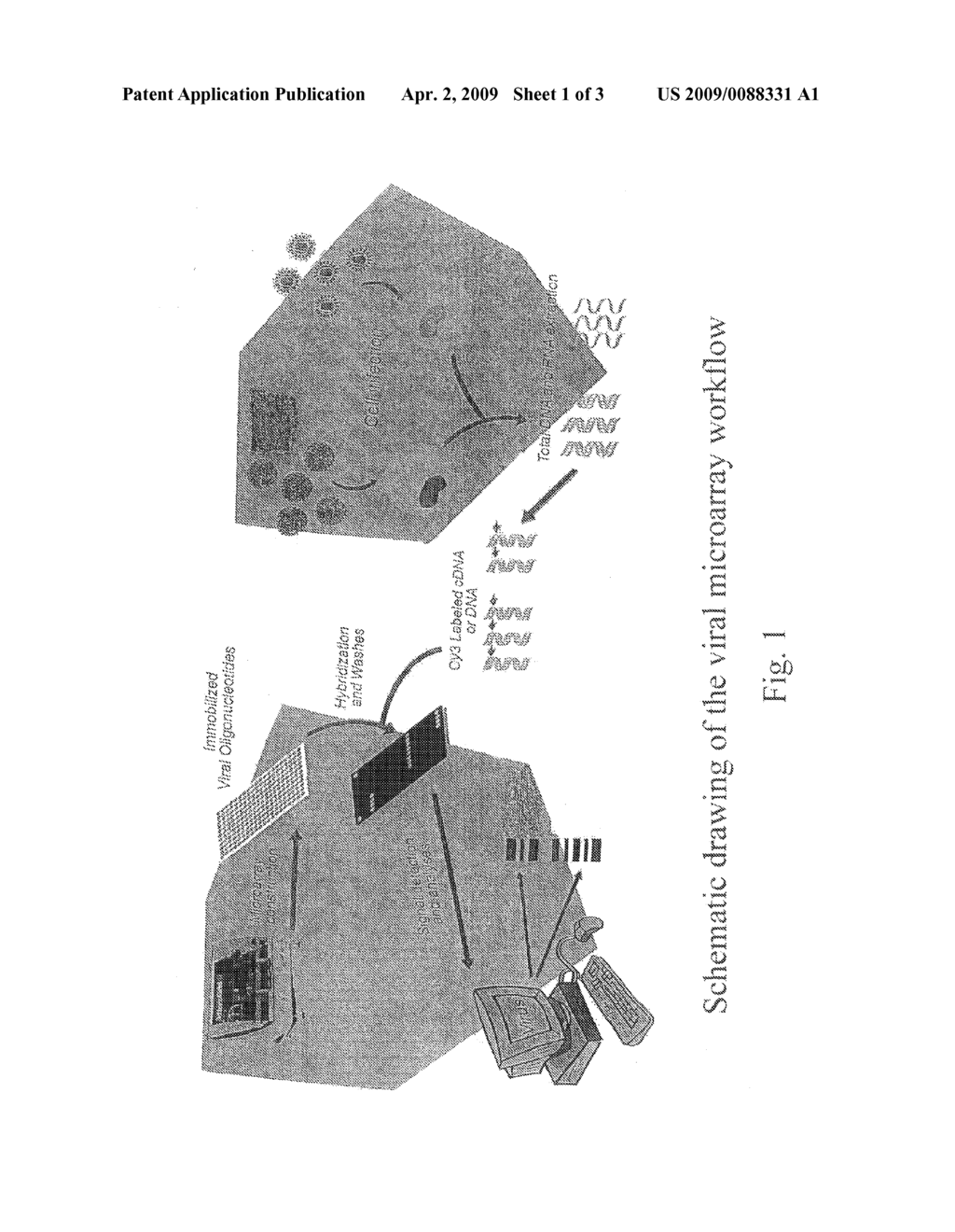 INFLUENZA VIRUS NUCLEIC ACID MICROARRAY AND METHOD OF USE - diagram, schematic, and image 02