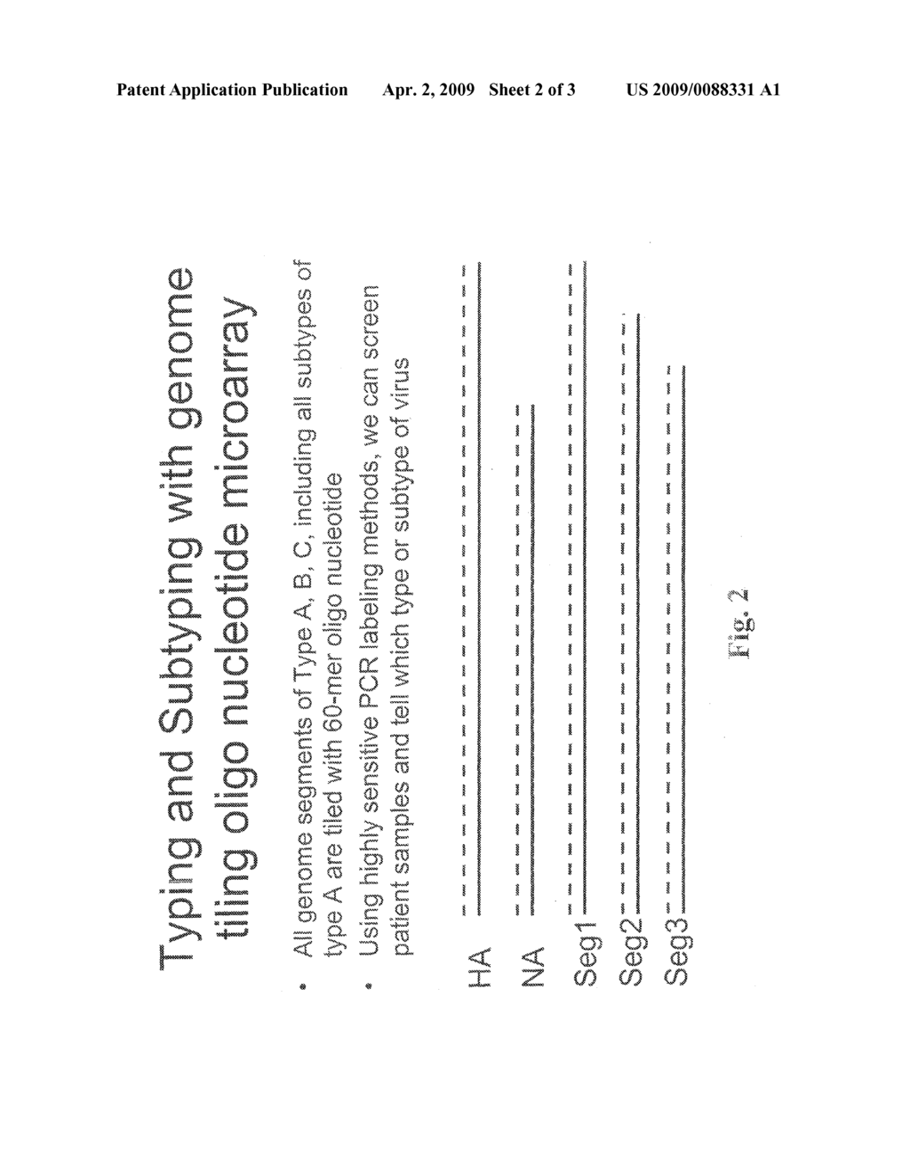 INFLUENZA VIRUS NUCLEIC ACID MICROARRAY AND METHOD OF USE - diagram, schematic, and image 03