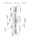 PROXIMITY COMMUNICATION PACKAGE FOR PROCESSOR, CACHE AND MEMORY diagram and image