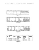 POINT-TO-MULTIPOINT HIGH DEFINITION MULTIMEDIA TRANSMITTER AND RECEIVER diagram and image