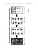 Methods of increasing abiotic stress tolerance and/or biomass in plants and plants generated thereby diagram and image