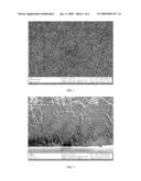 CARBON FILM COMPOSITE, METHOD OF MANUFACTURING A CARBON FILM COMPOSITE AND SENSOR MADE THEREWITH diagram and image