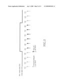 METHOD AND APPARATUS FOR ADJUSTING UPLINK DATA RATE IN A MOBILE COMMUNICATION SYSTEM diagram and image