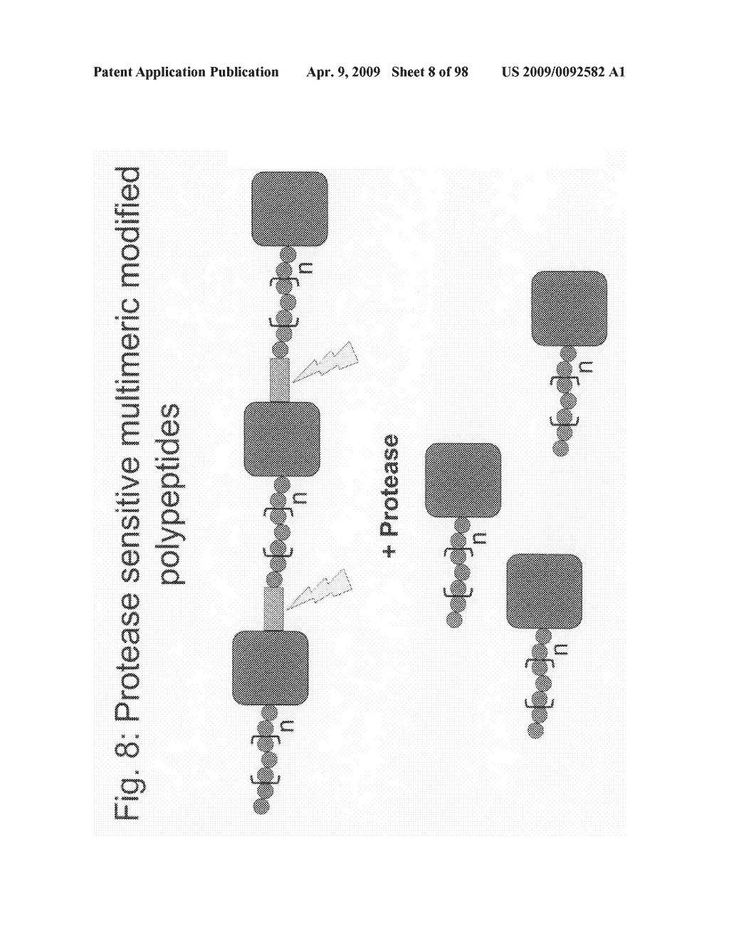Compositions and methods for modifying properties of biologically active polypeptides - diagram, schematic, and image 09